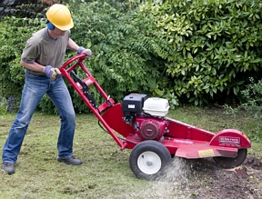 Gas stump grinder