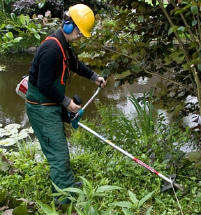 Brushcutter/Brushcutter Petrol